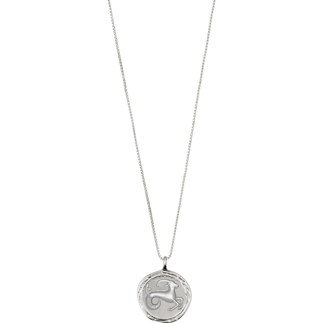 Capricorn Horoscope Necklace Silver Plated Crystal